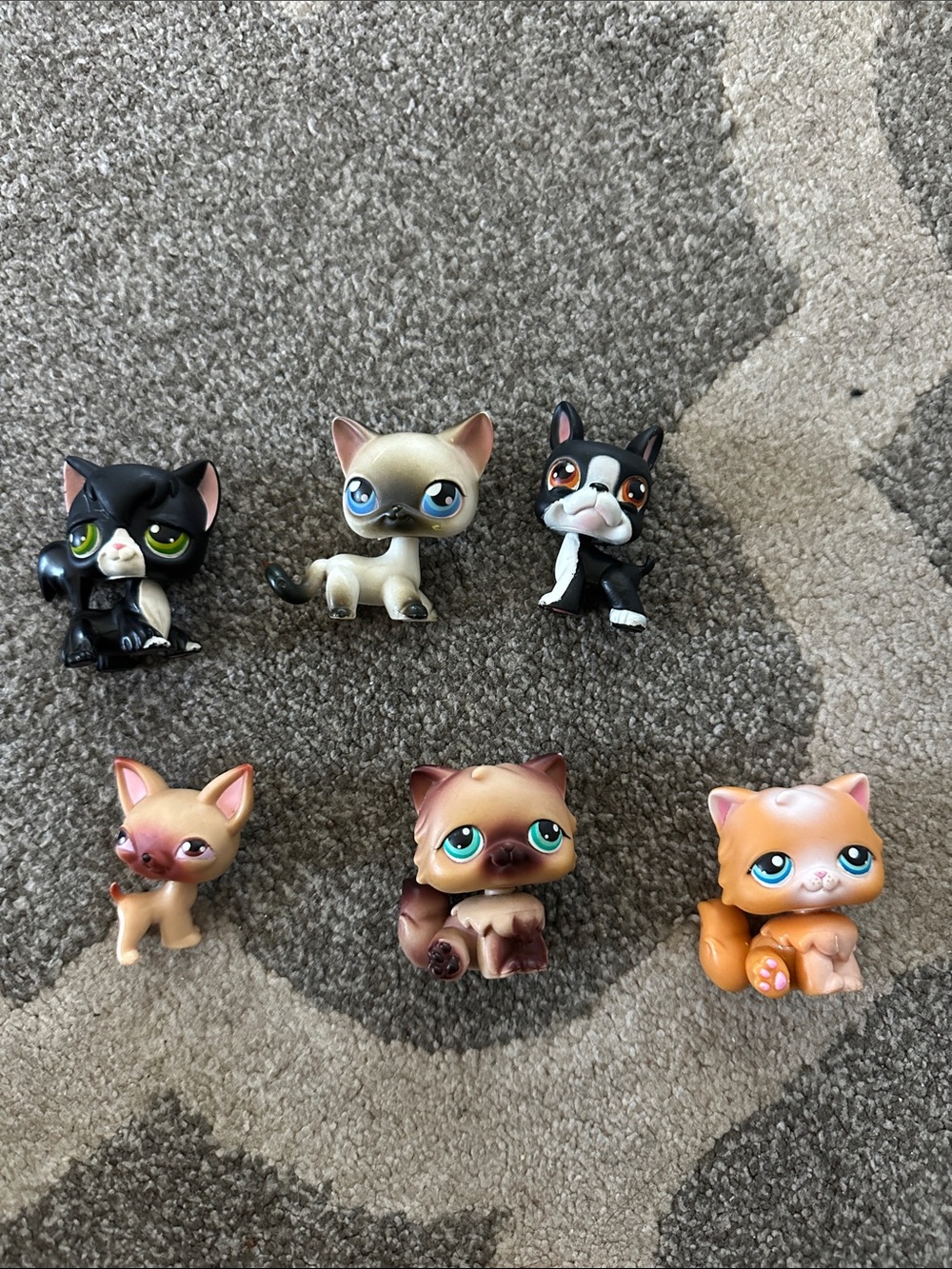 Rare Littlest Pet Shop Assorted Kitty & Pup Figures Blue & Green Eyes early 2000